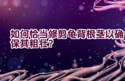 如何恰当修剪龟背根茎以确保其粗壮？