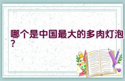 哪个是中国最大的多肉灯泡？