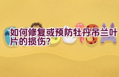 如何修复或预防牡丹吊兰叶片的损伤？