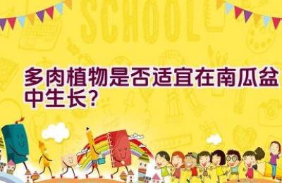 多肉植物是否适宜在南瓜盆中生长？