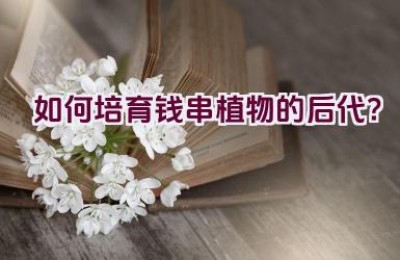 如何培育钱串植物的后代？