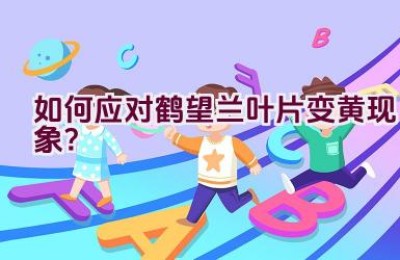 如何应对鹤望兰叶片变黄现象？