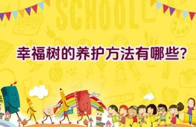 幸福树的养护方法有哪些？