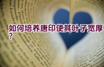 如何培养唐印使其叶子宽厚？