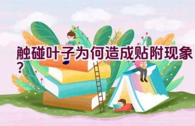 触碰叶子为何造成贴附现象？