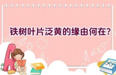 铁树叶片泛黄的缘由何在？