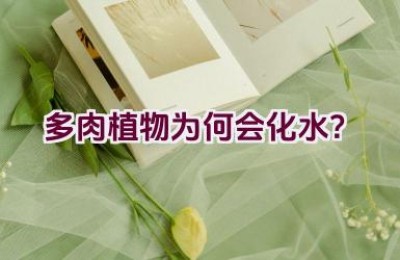 多肉植物为何会化水？