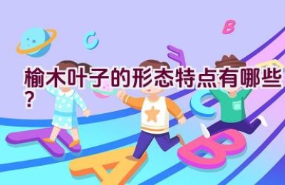 榆木叶子的形态特点有哪些？