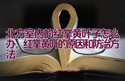 北方室内的红掌黄叶子怎么办，红掌黄叶的原因和防治方法