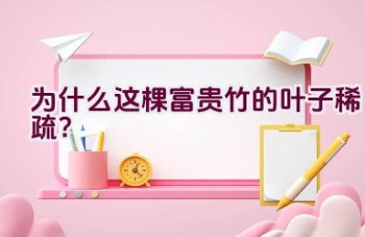 为什么这棵富贵竹的叶子稀疏？