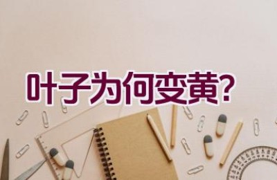 叶子为何变黄？