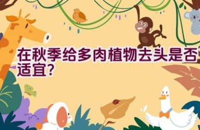 在秋季给多肉植物去头是否适宜？