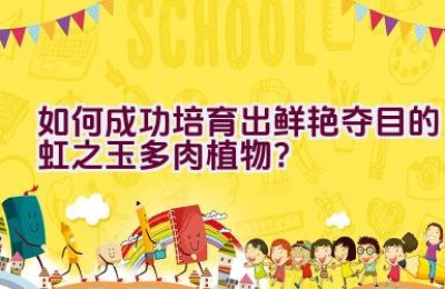 如何成功培育出鲜艳夺目的虹之玉多肉植物？