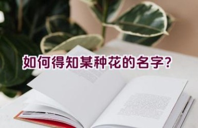 如何得知某种花的名字？