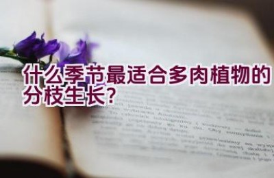 什么季节最适合多肉植物的分枝生长？