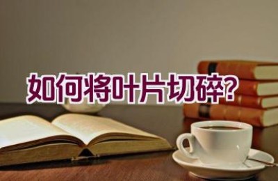 如何将叶片切碎？