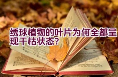 绣球植物的叶片为何全都呈现干枯状态？