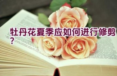 牡丹花夏季应如何进行修剪？