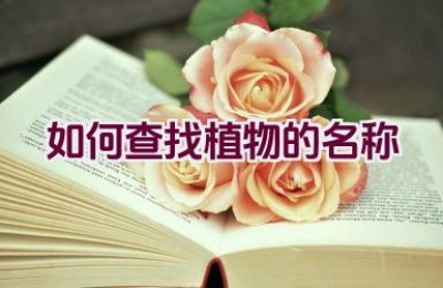 如何查找植物的名称