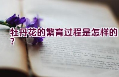 牡丹花的繁育过程是怎样的？