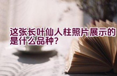这张长叶仙人柱照片展示的是什么品种？