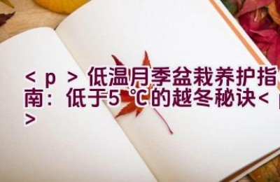 低温月季盆栽养护指南：低于5℃的越冬秘诀