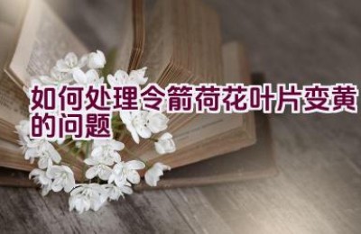 如何处理令箭荷花叶片变黄的问题