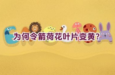 为何令箭荷花叶片变黄？