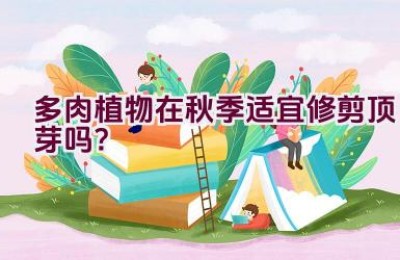 多肉植物在秋季适宜修剪顶芽吗？