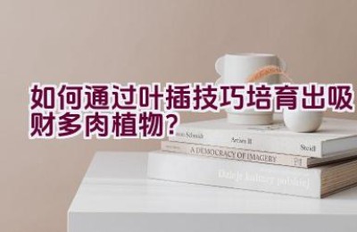 如何通过叶插技巧培育出吸财多肉植物？