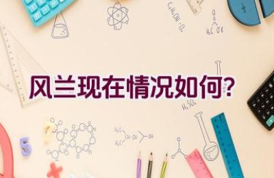 风兰现在情况如何？