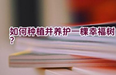 如何种植并养护一棵幸福树？