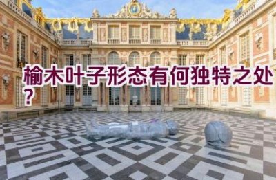 榆木叶子形态有何独特之处？