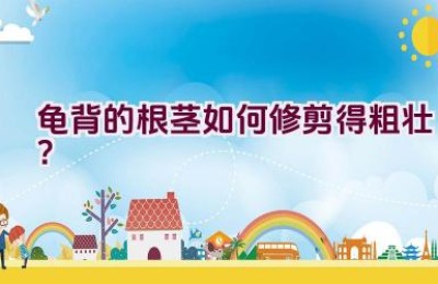 龟背的根茎如何修剪得粗壮？