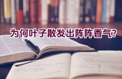 为何叶子散发出阵阵香气？
