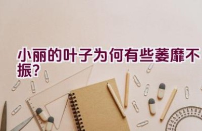 小丽的叶子为何有些萎靡不振？