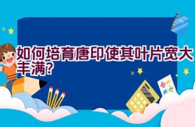 如何培育唐印使其叶片宽大丰满？
