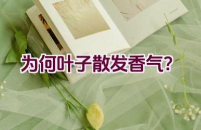 为何叶子散发香气？