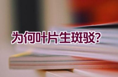 为何叶片生斑驳？