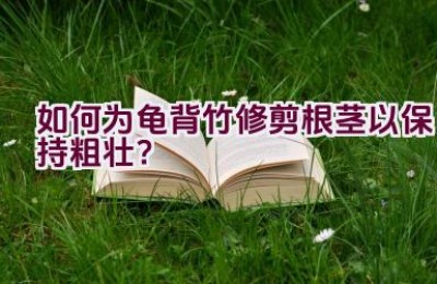 如何为龟背竹修剪根茎以保持粗壮？