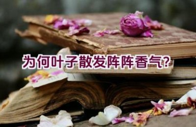 为何叶子散发阵阵香气？