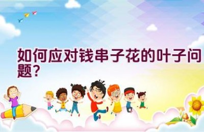 如何应对钱串子花的叶子问题？