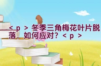 冬季三角梅花叶片脱落，如何应对？