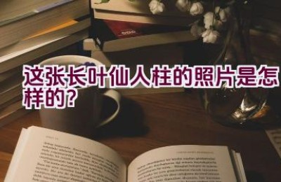 这张长叶仙人柱的照片是怎样的？