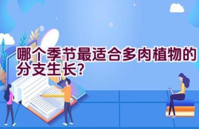哪个季节最适合多肉植物的分支生长？