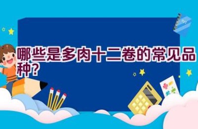 哪些是多肉十二卷的常见品种？