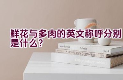 鲜花与多肉的英文称呼分别是什么？