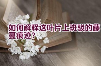 如何解释这叶片上斑驳的藤蔓痕迹？