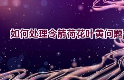 如何处理令箭荷花叶黄问题