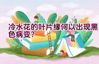 冷水花的叶片缘何以出现黑色病变？